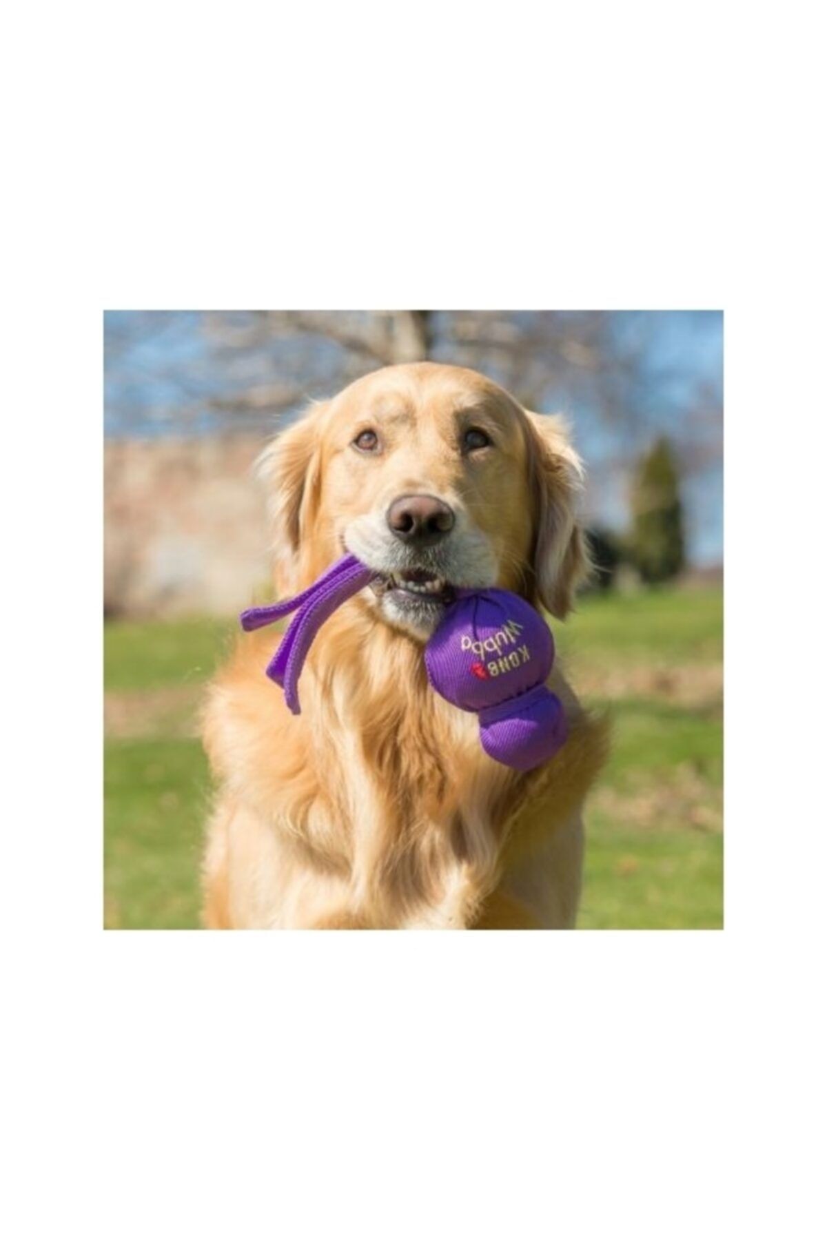 Kong Köpek Wubba Sesli Oyuncak S 21cm