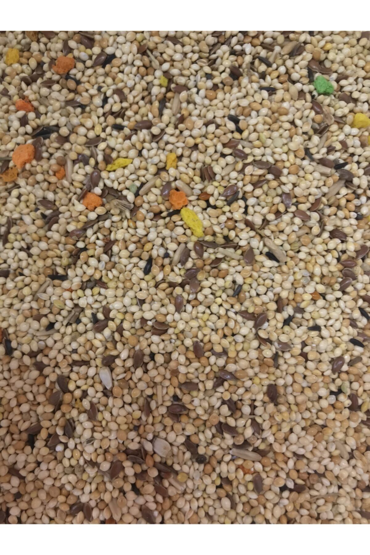 Kapıda Mahsul Muhabbet Kuşu Yemi 250g