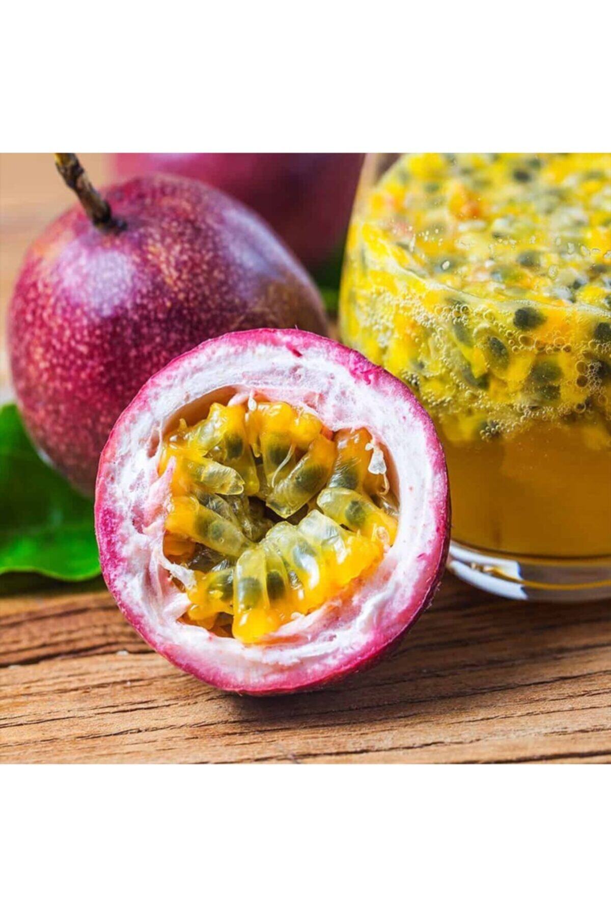Bitki Dizayn Saksıda Mor Meyveli Passiflora (alba 571) Çarkıfelek Fidanı