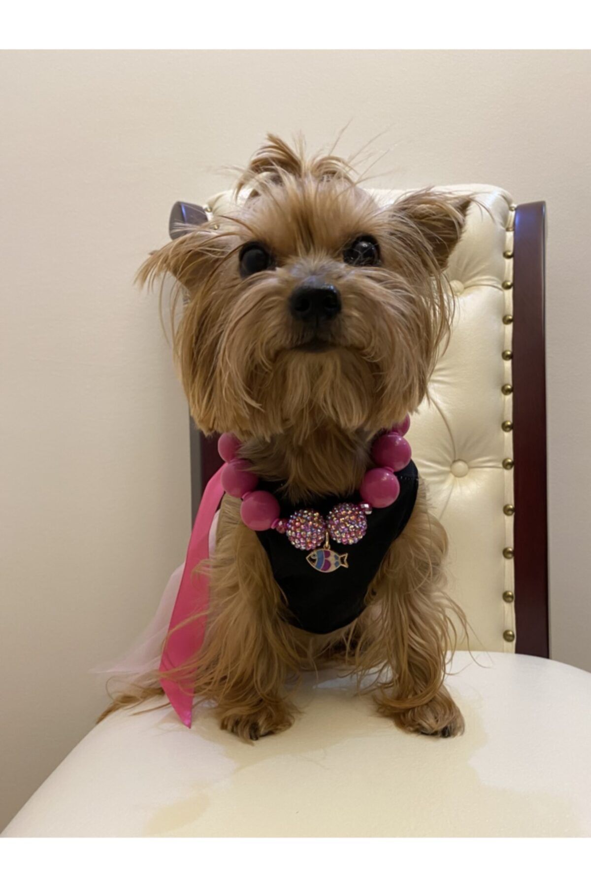 PAW LOVE (PİFİSH) Pembe Boncuklu Köpek Kolyesi 25-35cm Küçük Ve Orta Irklar (3-6,5KG) Ayarlamalı Zincir