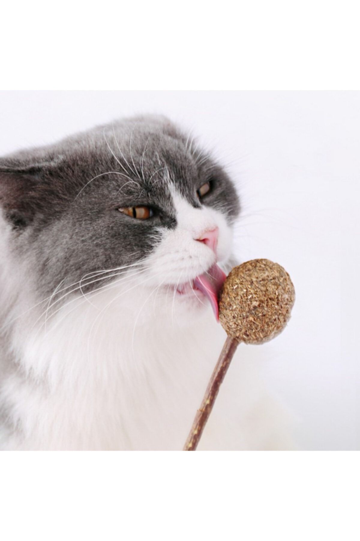Mixpet Catnipli Lolipop Kedi Oyuncağı