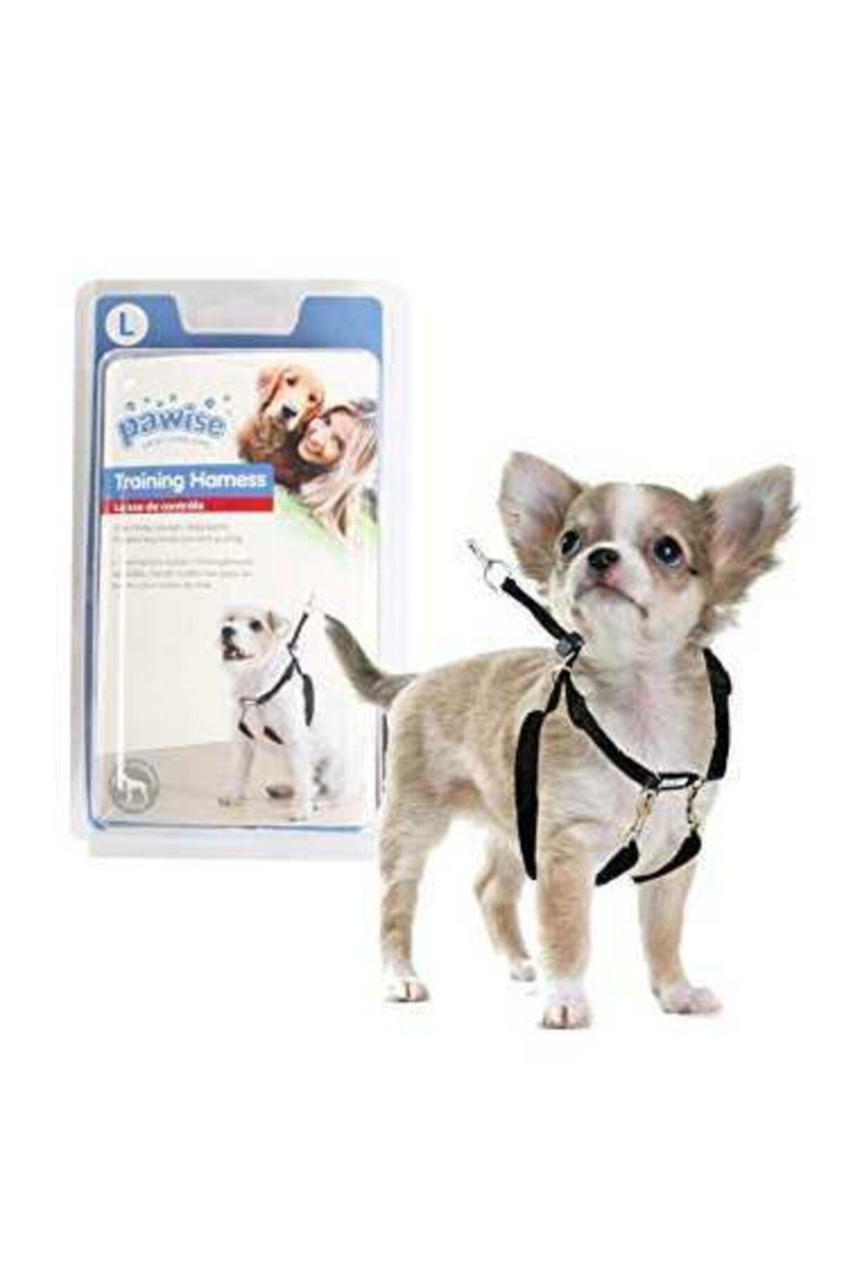 Pawise Dog Training Medıum(1\