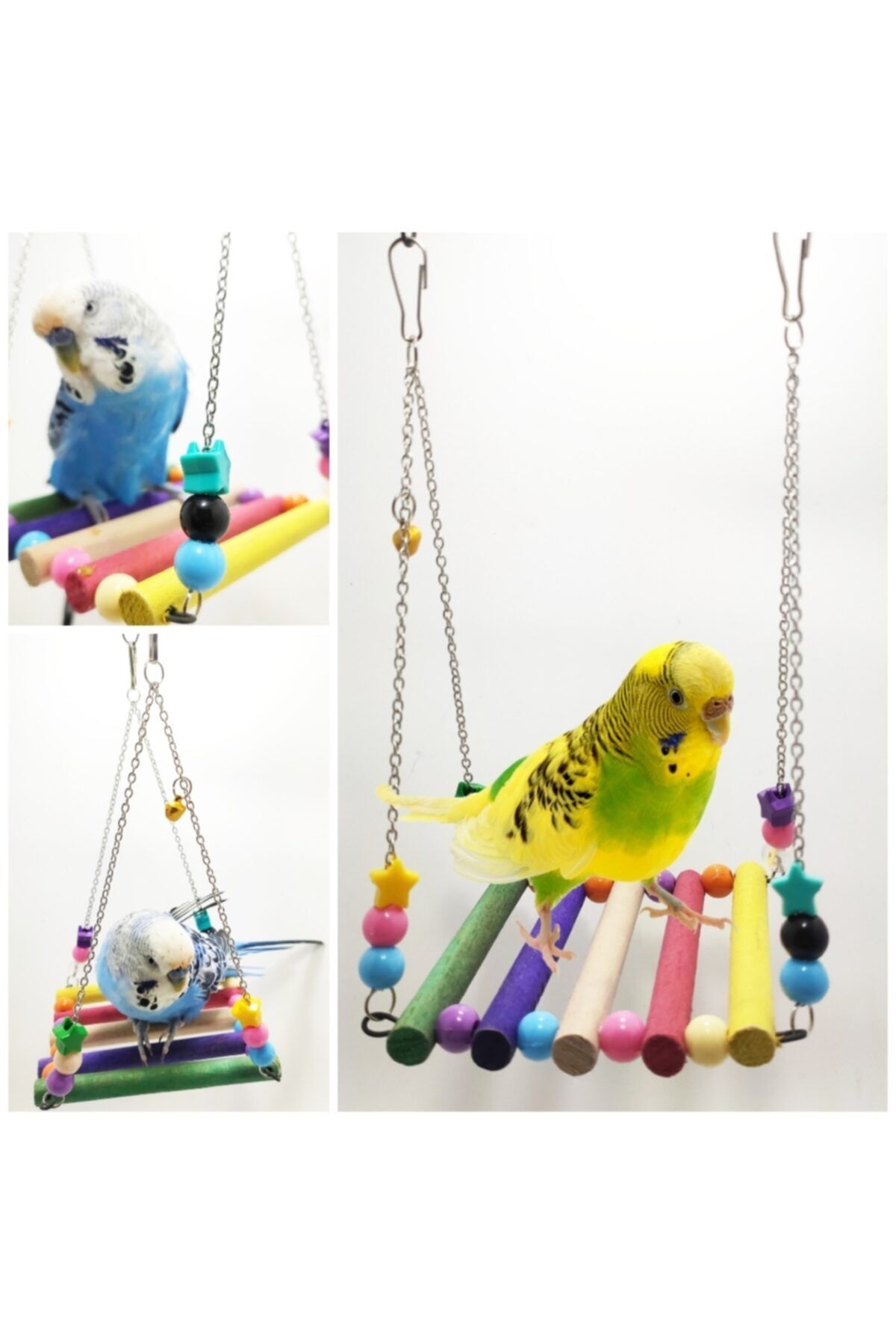 ozzipetshop Muhabbet Kuşu Renkli Ahşap Kuş Salıncağı