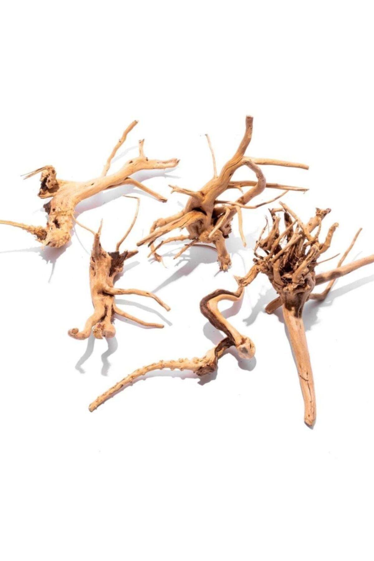 Chicos Spider Wood (doğal Ağaç)