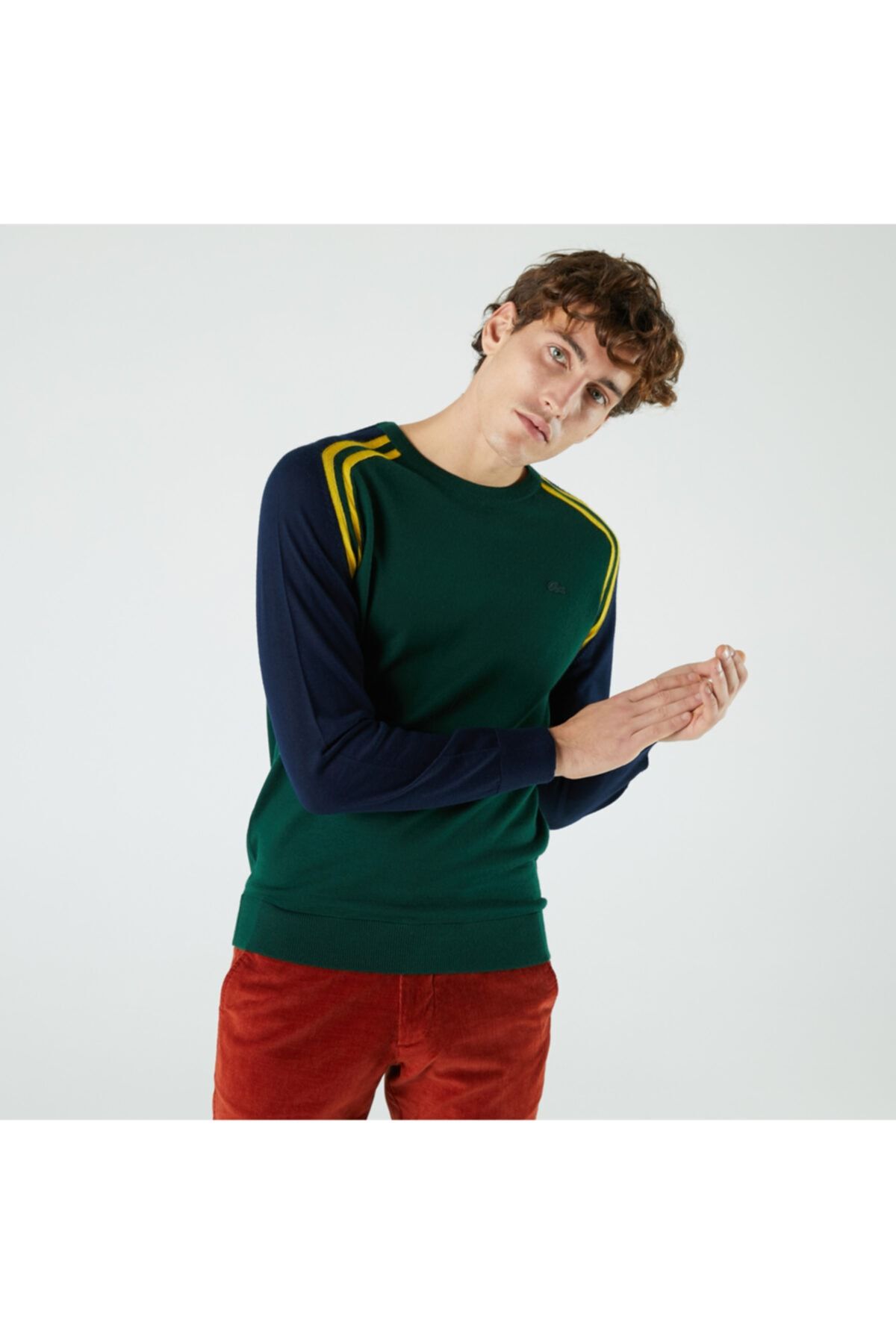Lacoste Erkek Regular Fit Bisiklet Yaka Yeşil Kazak