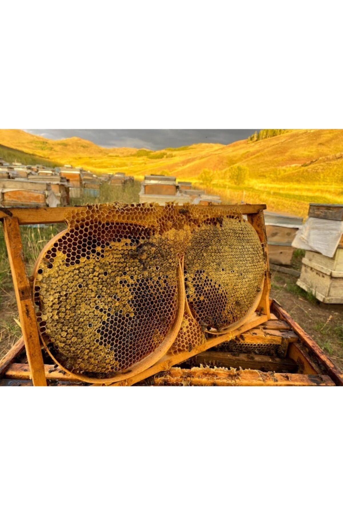 Köyden Gelsin Kara Kovan Balı - 800 Gram