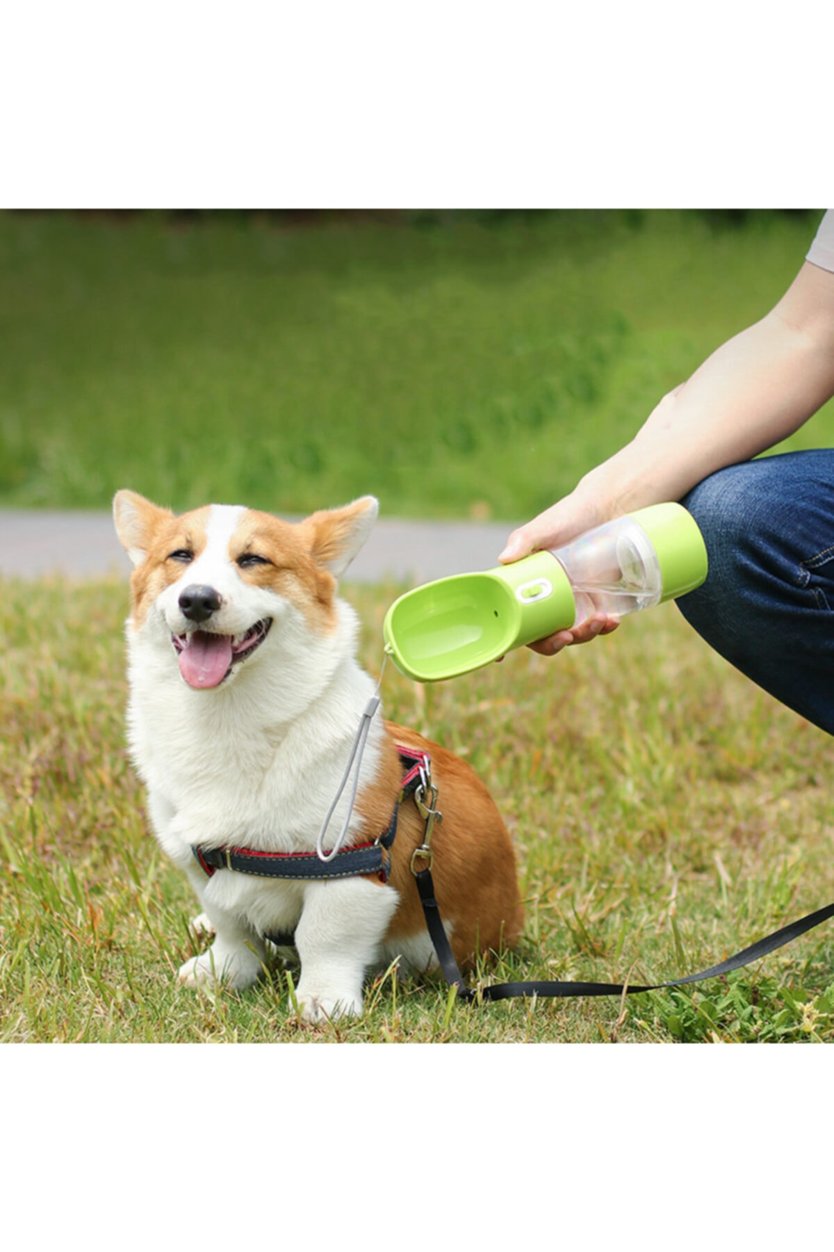 YAPRAKOUTLET Mikopet Köpek Seyahat Suluğu Ve Mama Kabı-mavi