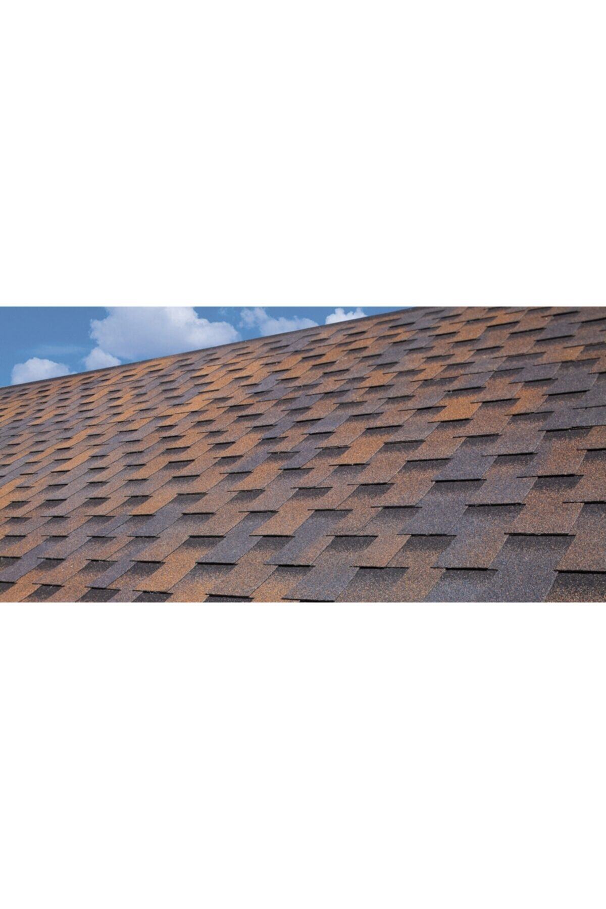 Btm Shingle Dragon ( Bakır Kahve )