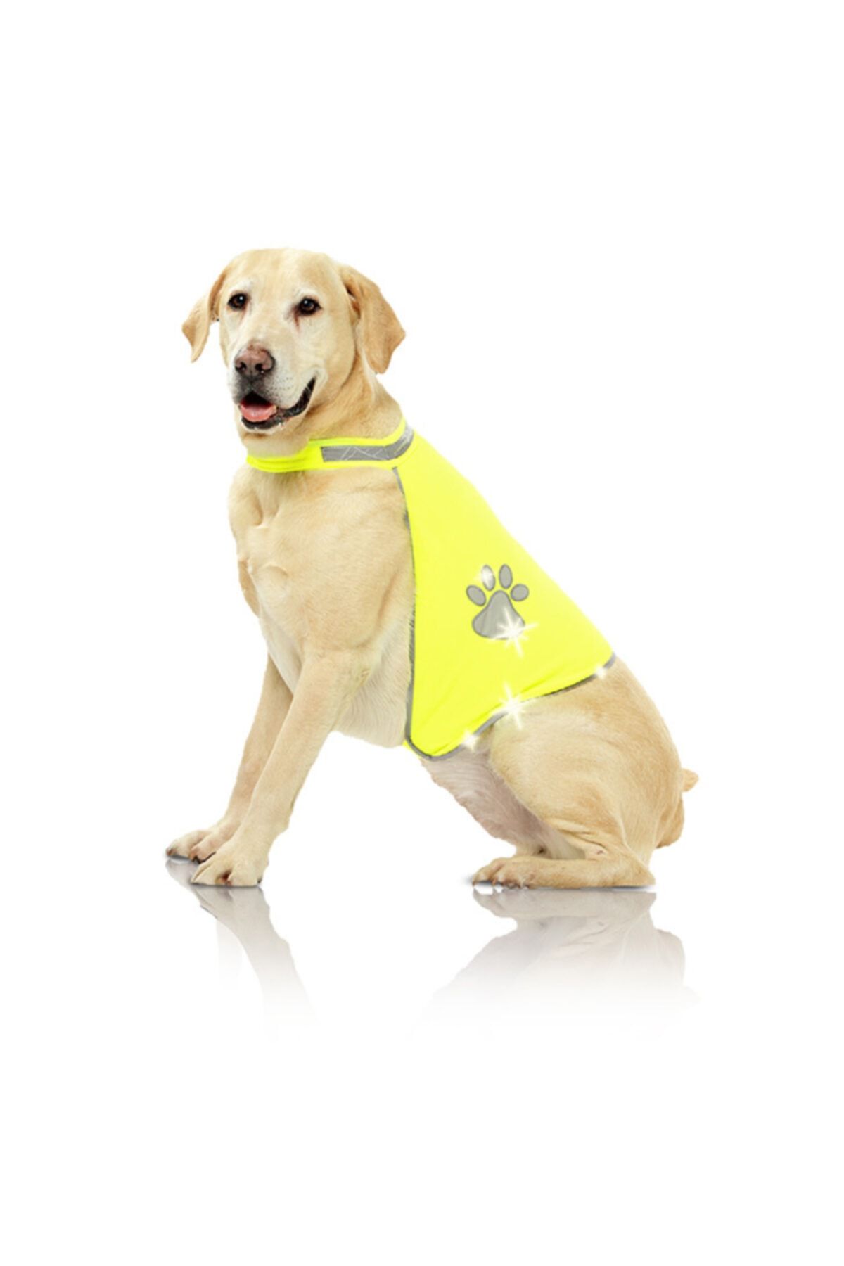 Pawise Reflektörlü Köpek Yeleği Large