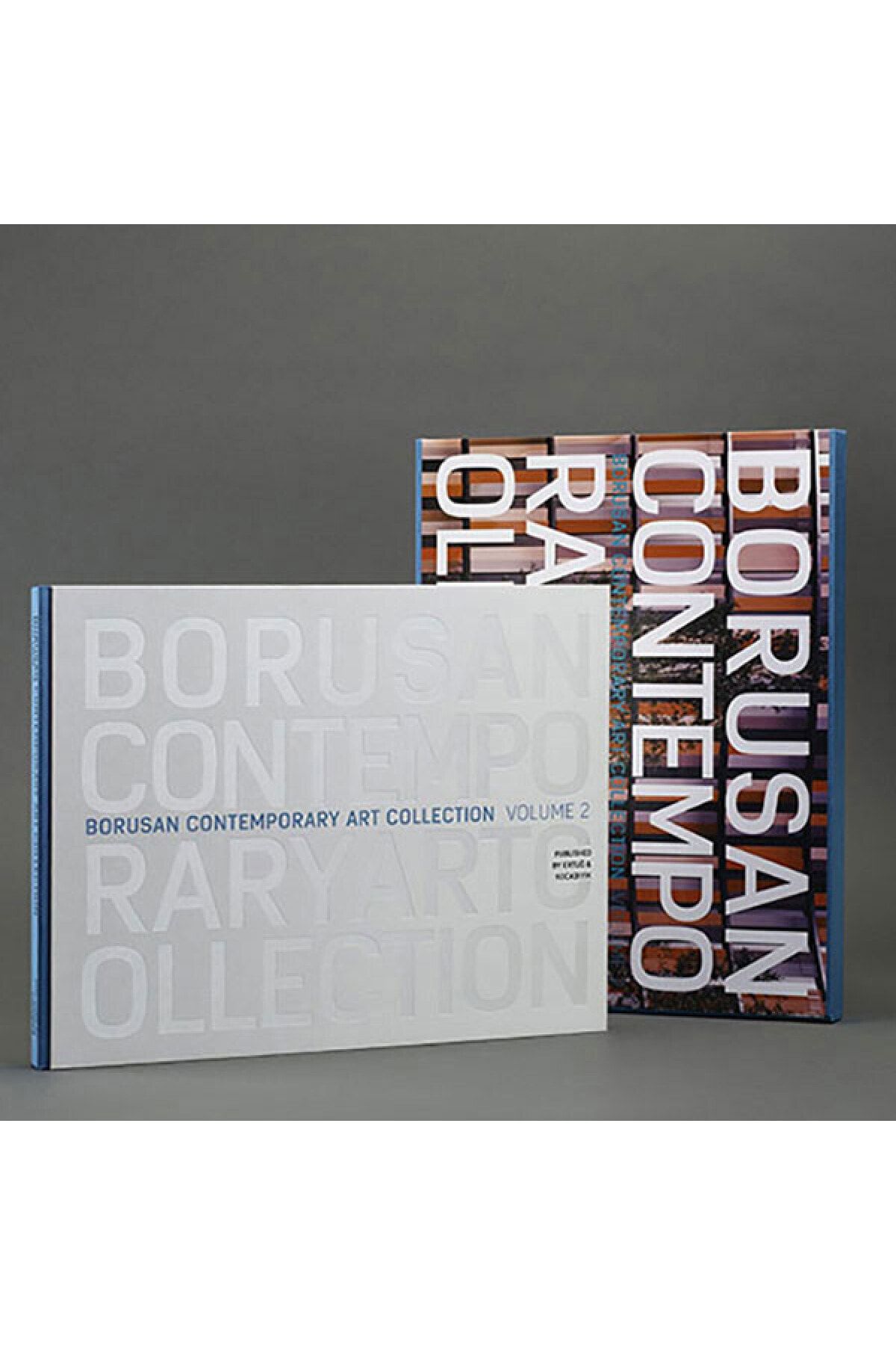 Borusan Kültür ve Sanat Yayınları Borusan Contemporary Art Collection V.2