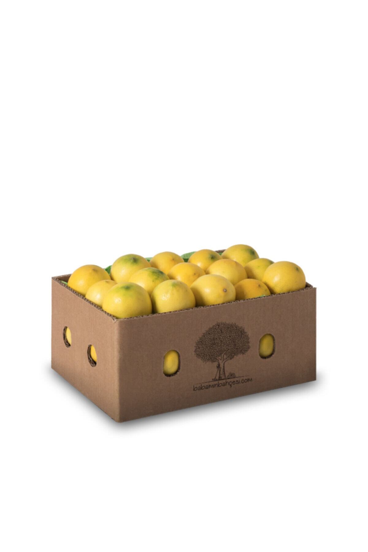 Babamın Bahçesi Mayer Limon - 3kg