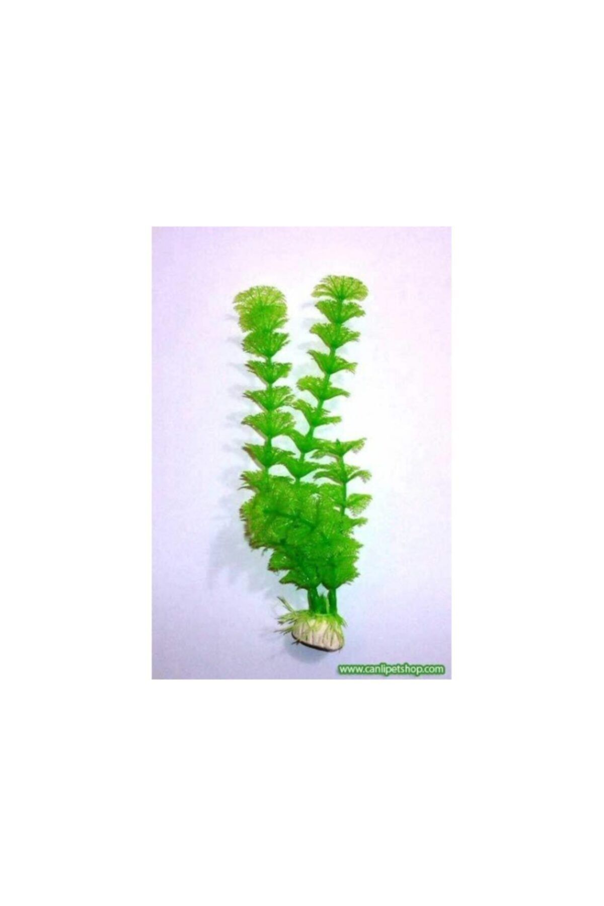 TROPİKAL Plastik Bitki 40 Cm Tilki Kuyruğu