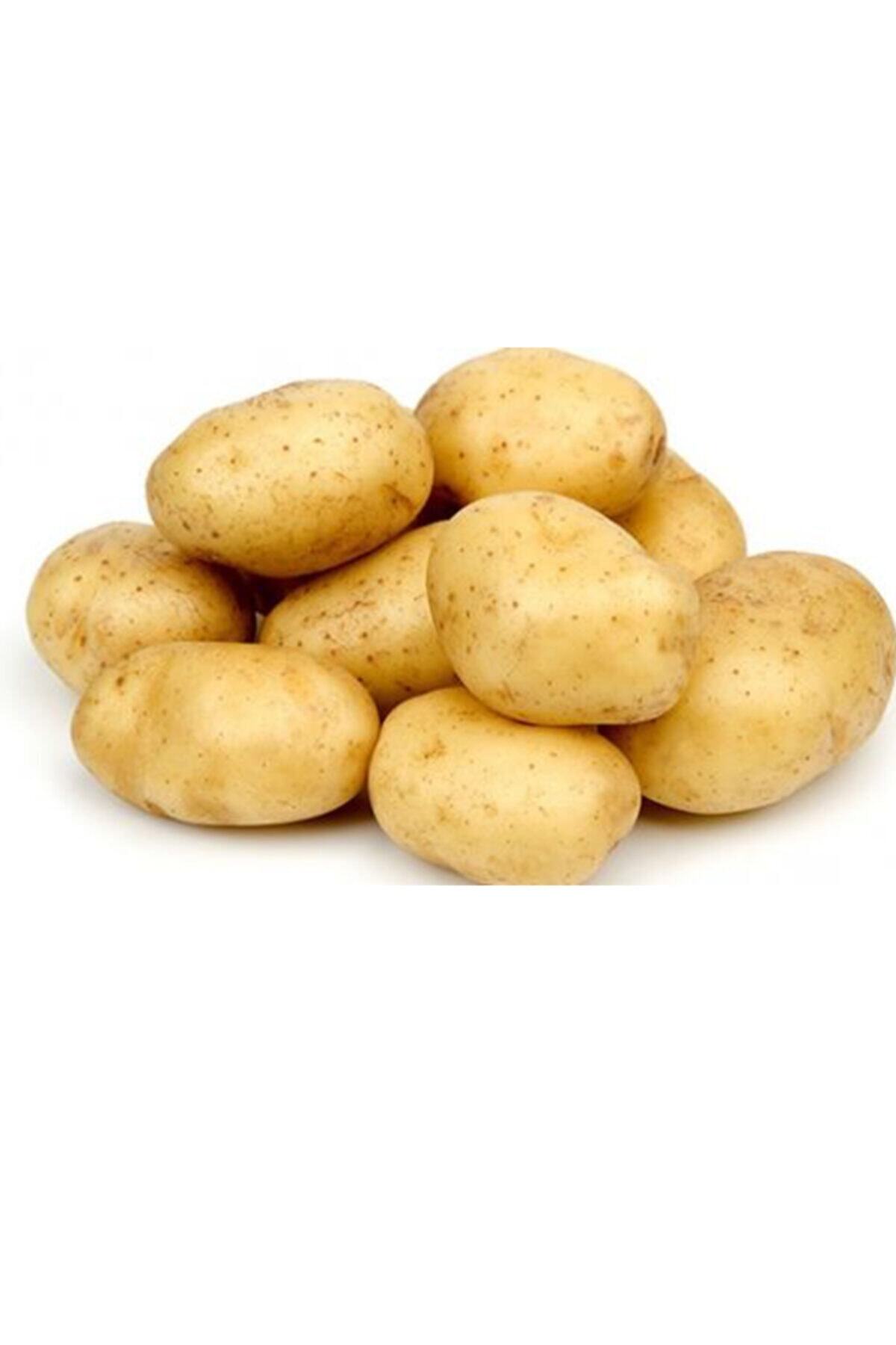 Akyel Gıda Afyon / Şuhut Agire Patatesi (kızartmalık) - 1 Kg.