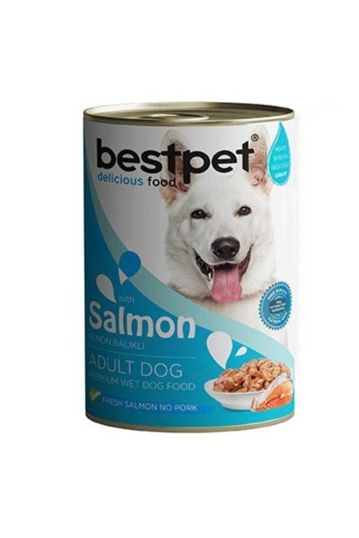 ENJOY BEST PET Bestpet Somonlu Jöleli Yetişkin Köpek Konservesi 400 gr