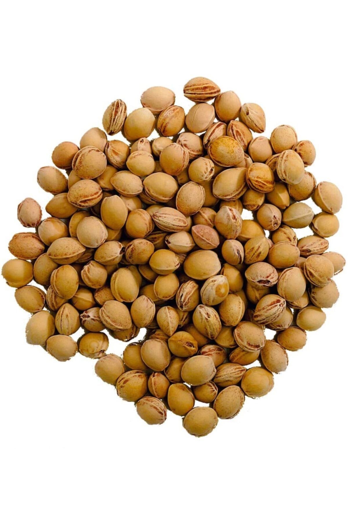 Aktarmarka Kiraz Çekirdeği Yıkanmış 1 Kg
