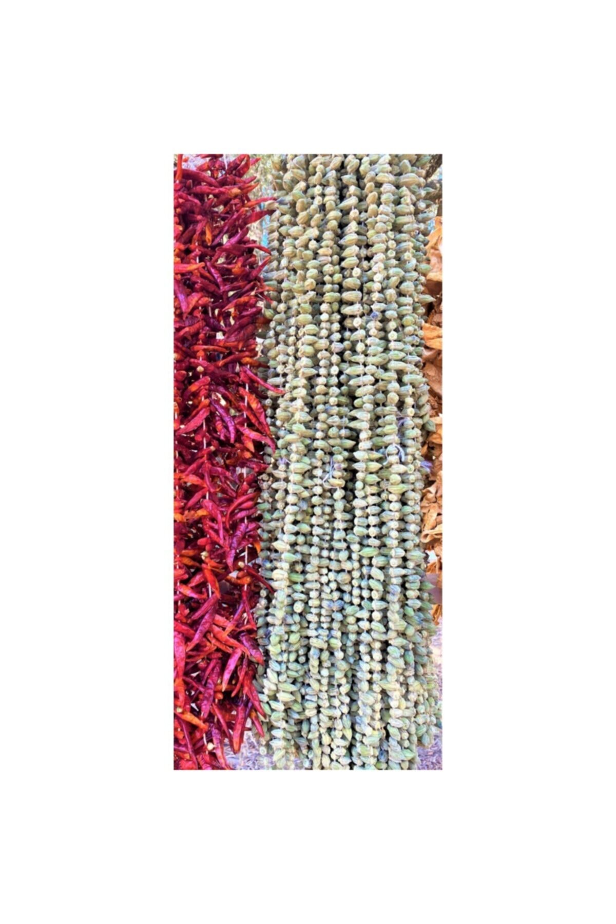 Doğal Ürünler Bamya Kurusu 1 Dizi