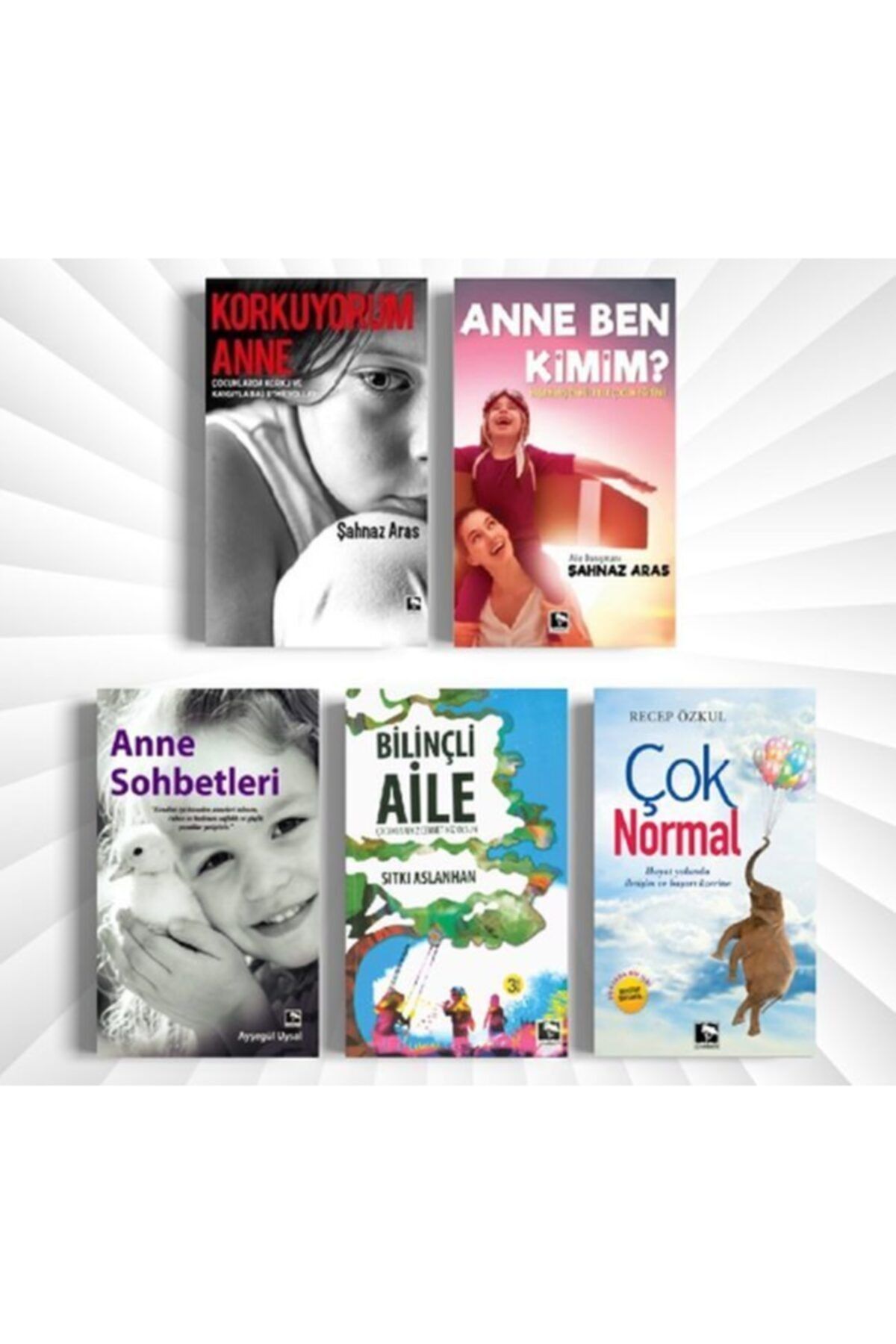 Çınaraltı Yayınları Bsrl Çocuk Eğitim Seti - 5 Kitap Takım - Sıtkı Aslanhan