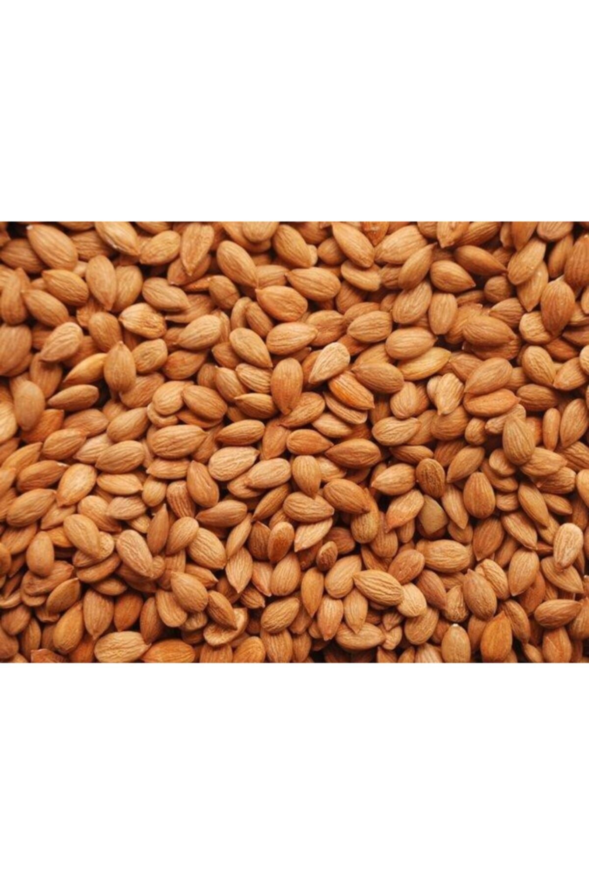 Propatis Magro Magro Çiğ Kayısı Bademi 500gr (GÜNKURUSU)