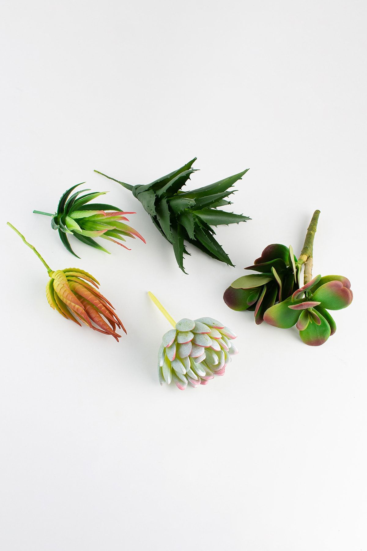 Dedo Decoration objects Yapay Sukulent Set /yapay Kaktüs Set/etli Yapay Sukulent Set /yapay Bitki Seti