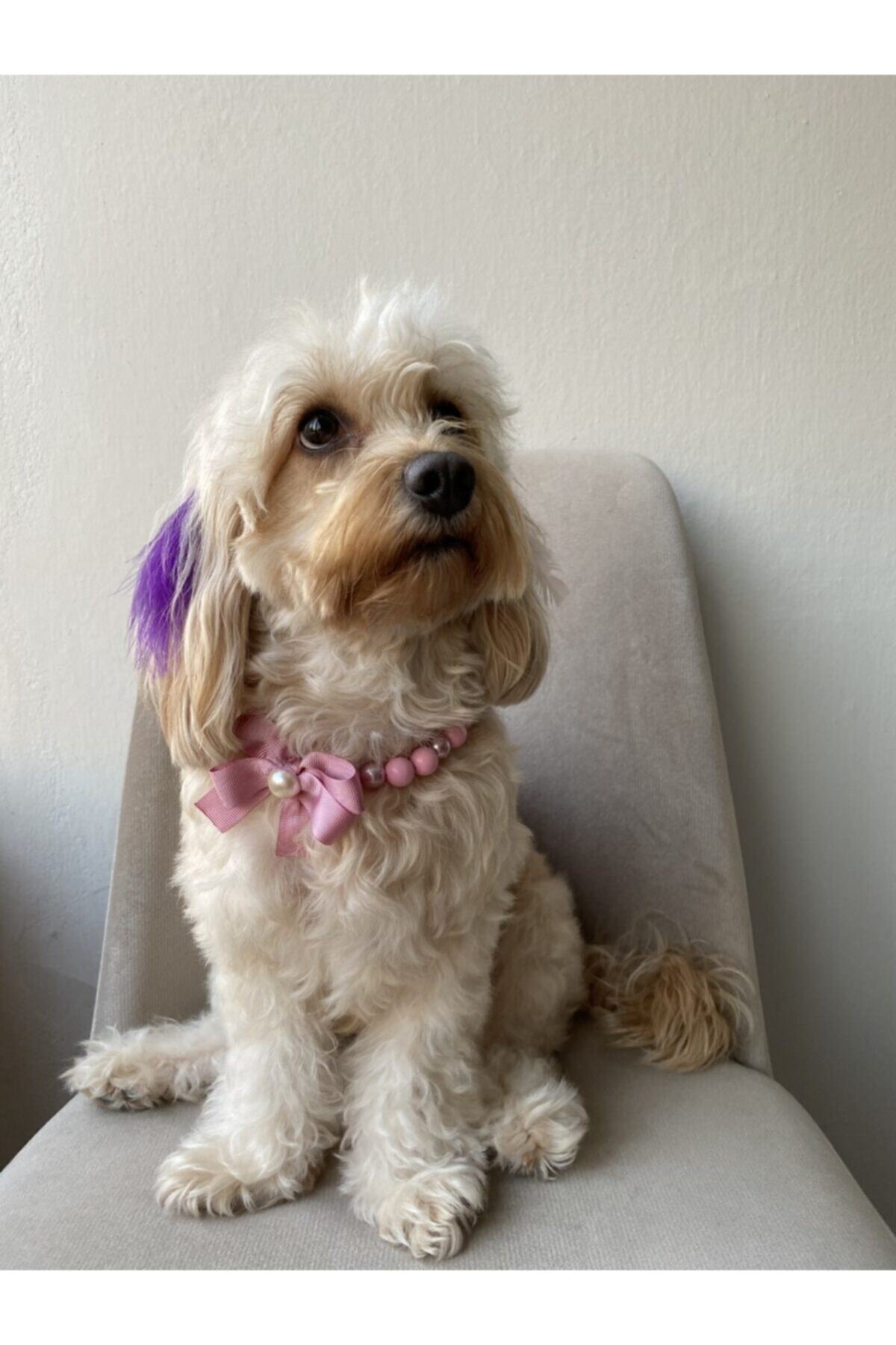 PAW LOVE (PBOWTİE) El Yapımı Pembe Kurdele Ve Pembe Boncuklu Köpek Kolyesi (25-35CM) Ayarlanırzincir