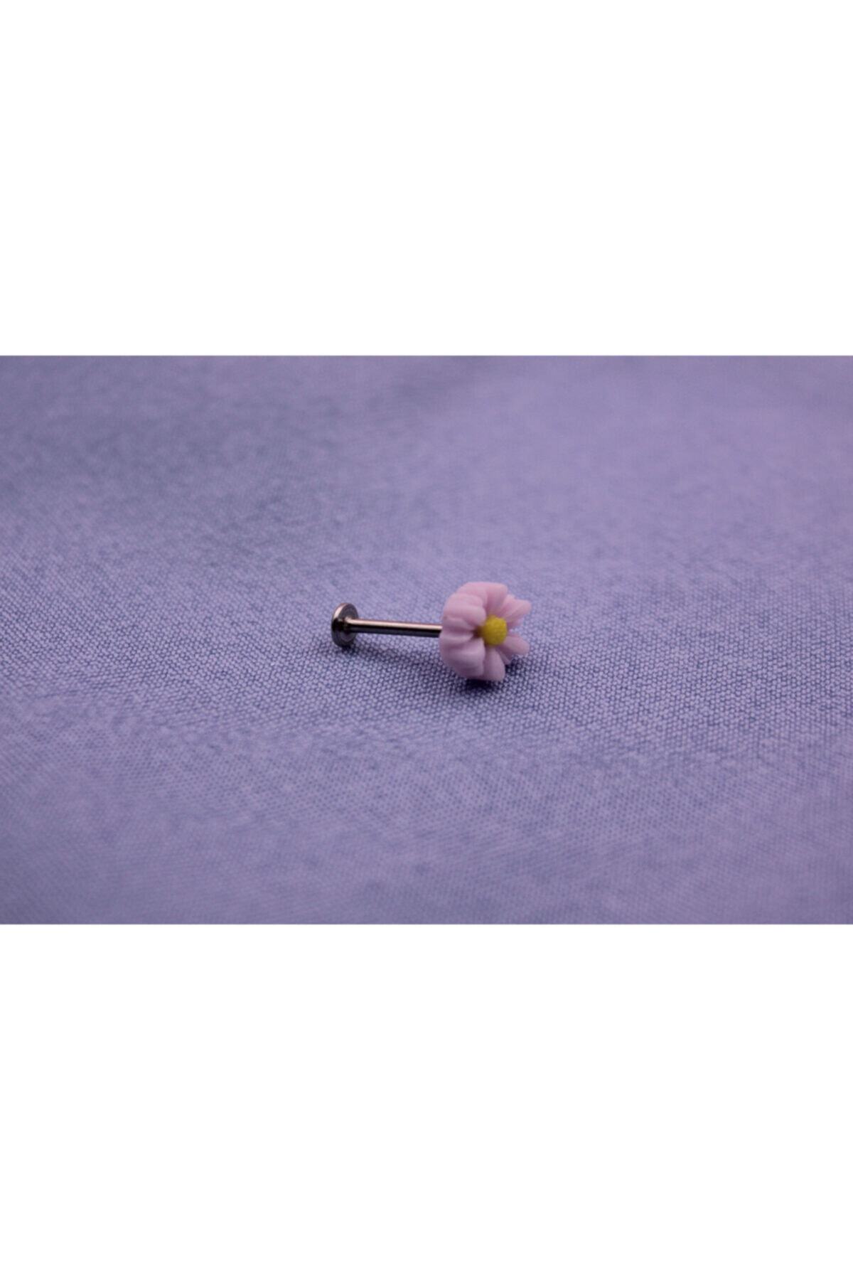 Üzüm Hoşafı Lila Papatya Tragus Küpe Piercing