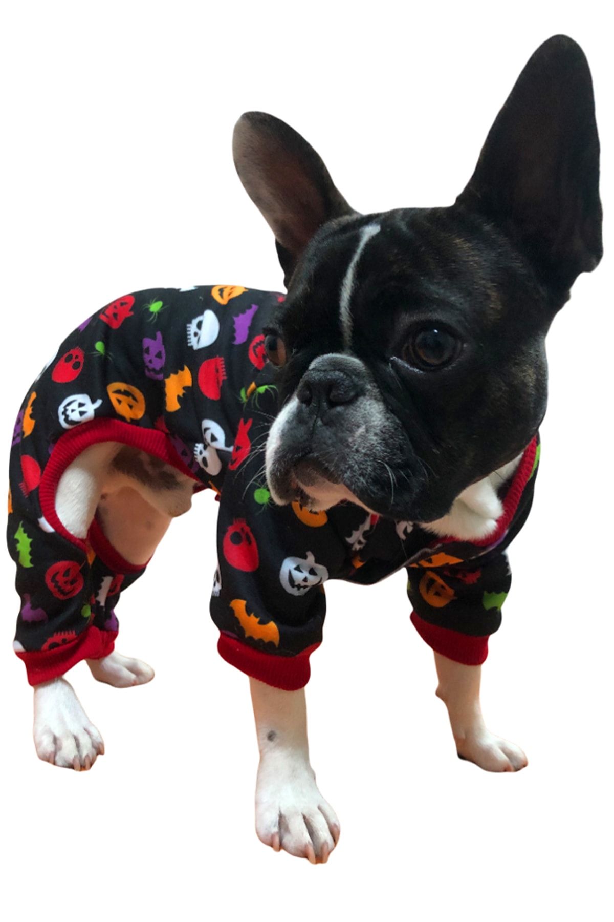 PETBUTİK8 0065pkpkh8 Kedi Köpek Kıyafeti