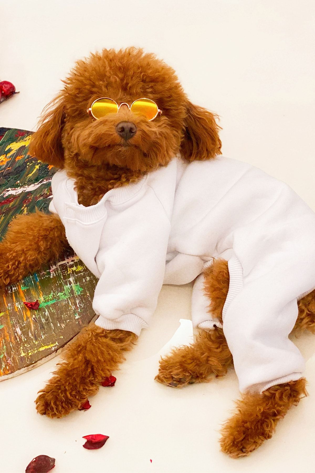 PETBUTİK8 0070pkpkh8 Kedi Köpek Kıyafeti