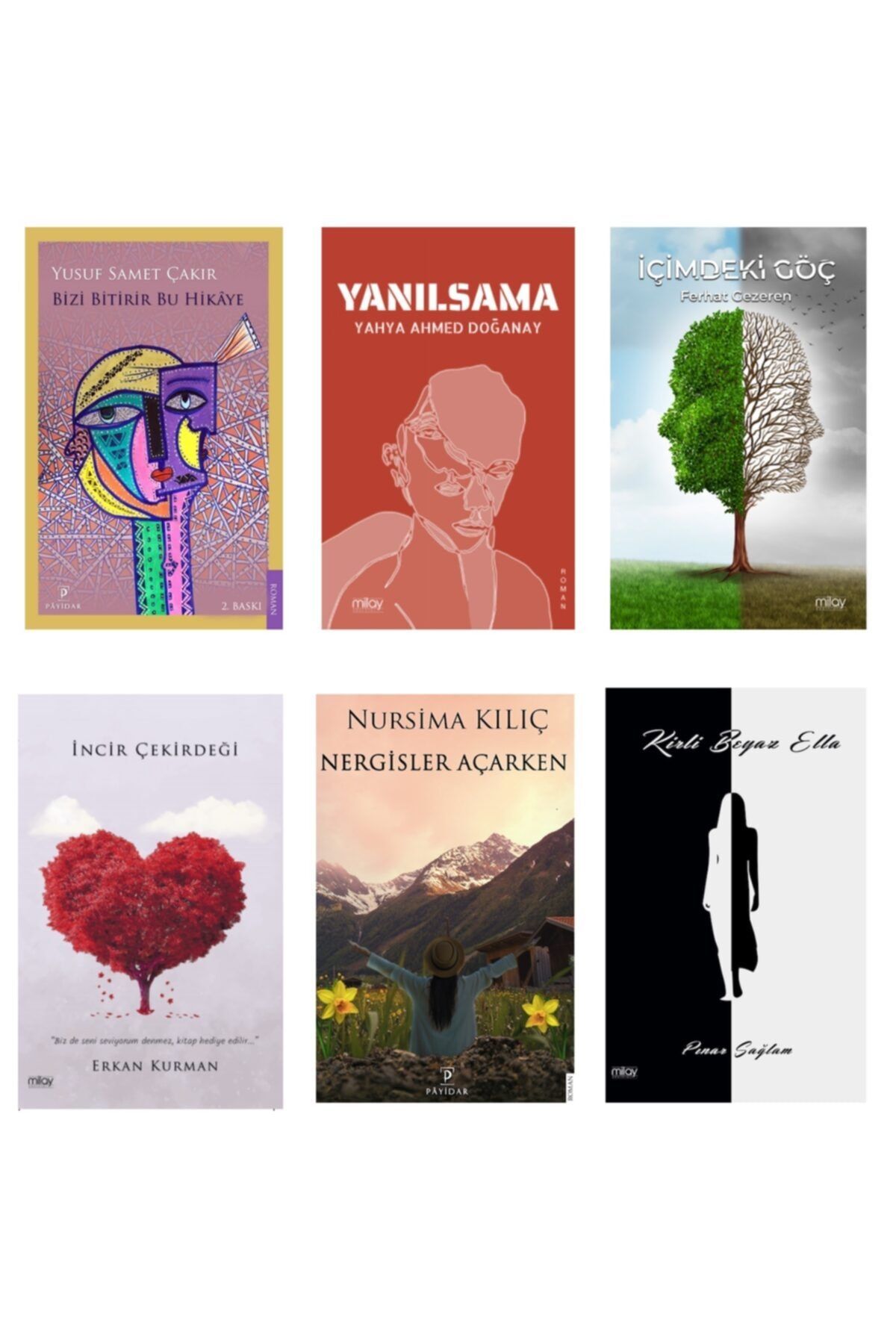 Payidar Yayınları Aşk, Psikolojik Ve Poliseye Roman Seti ( 6 Kitap )