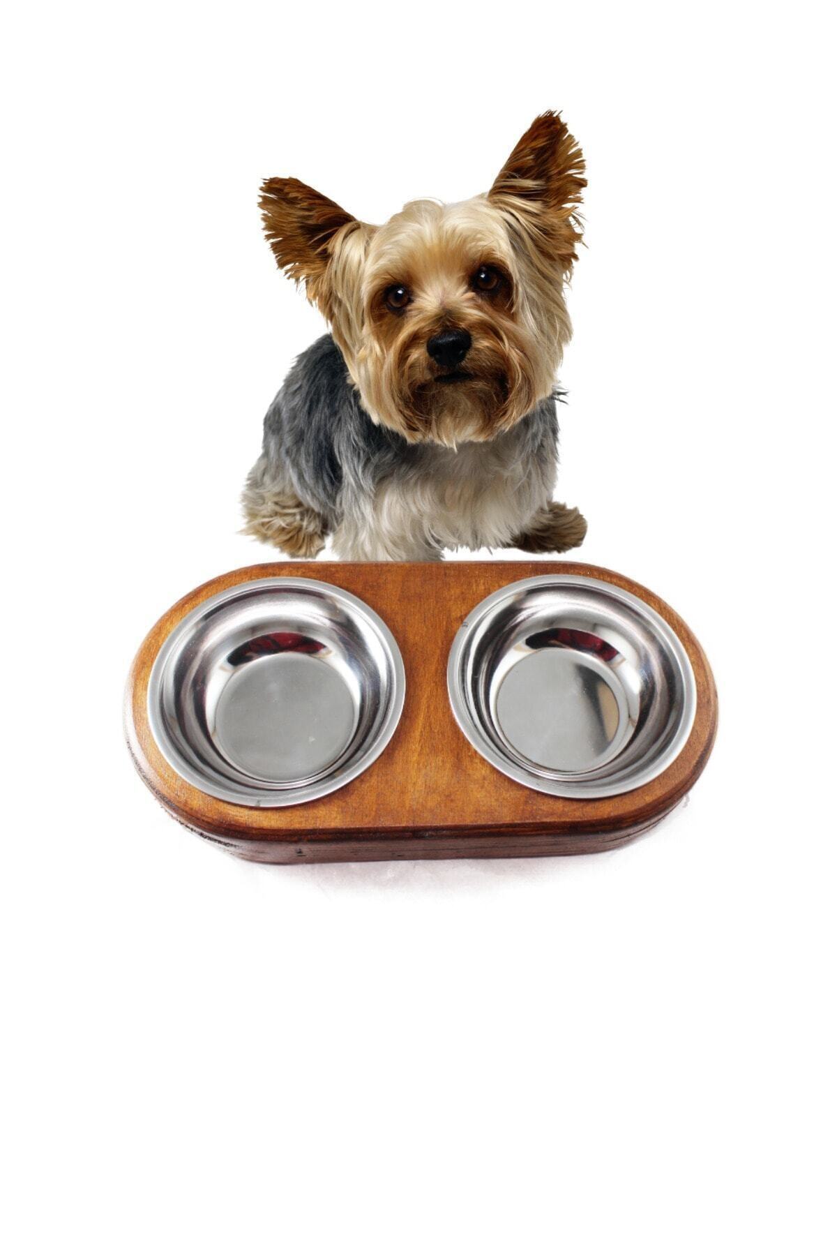 SCdekor Doğal Ahşap Kedi / Köpek Mama Ve Su Kabı ( Small ) ( Kayın Ağacı )