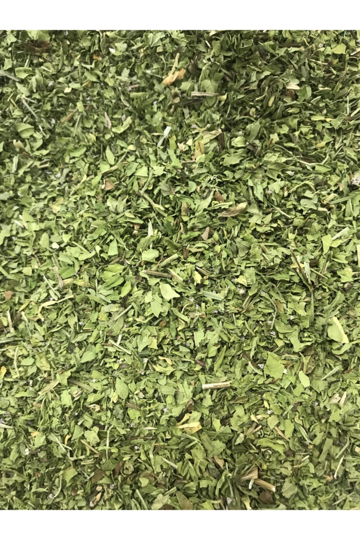 Kapıda Mahsul Nane 1000g.