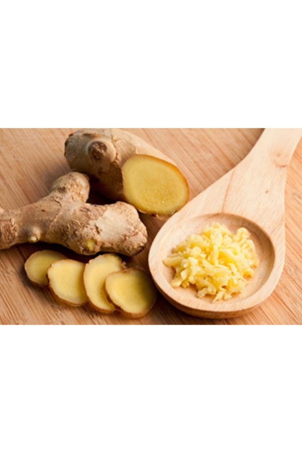Başak Baharat Taze Yaş Zencefil