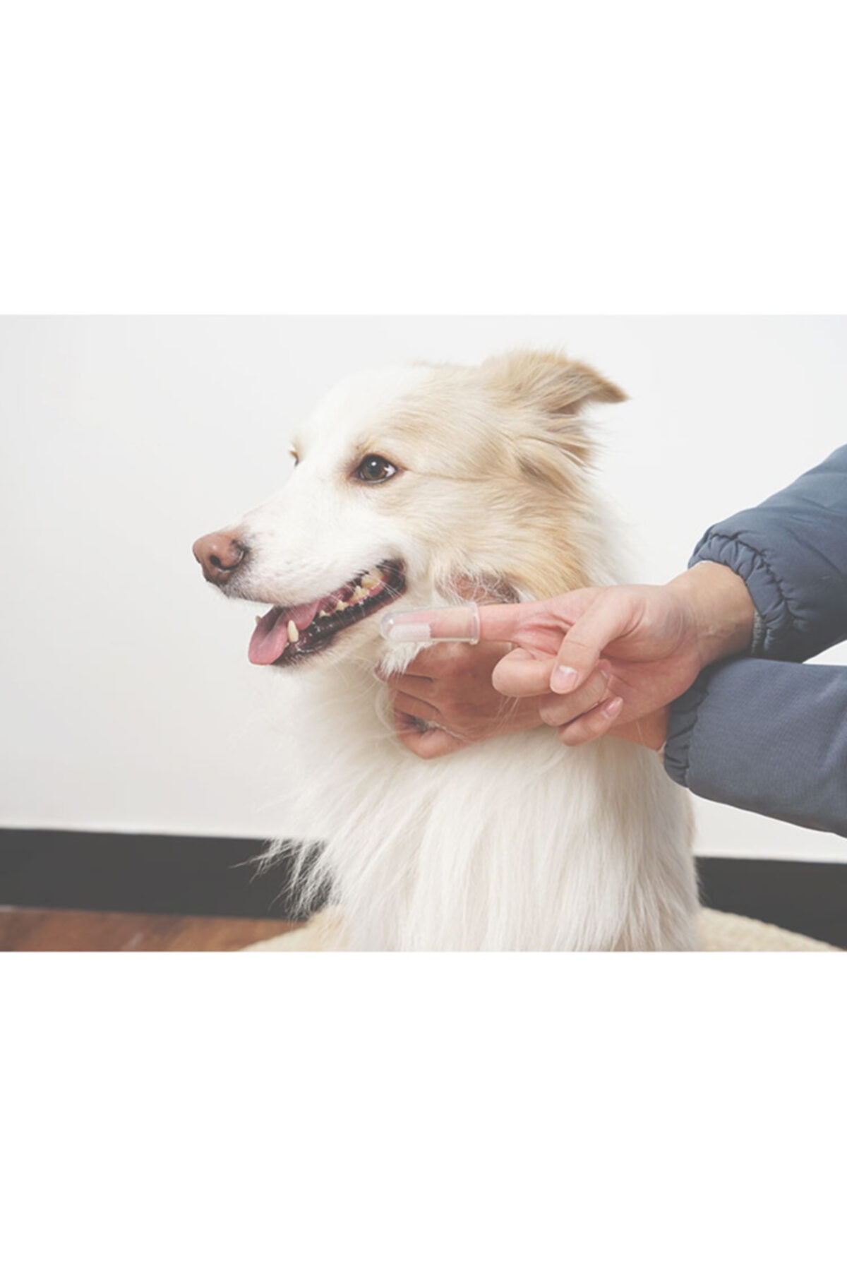 Bioline Kedi Köpek Ikili Parmak Diş Fırçası Seti