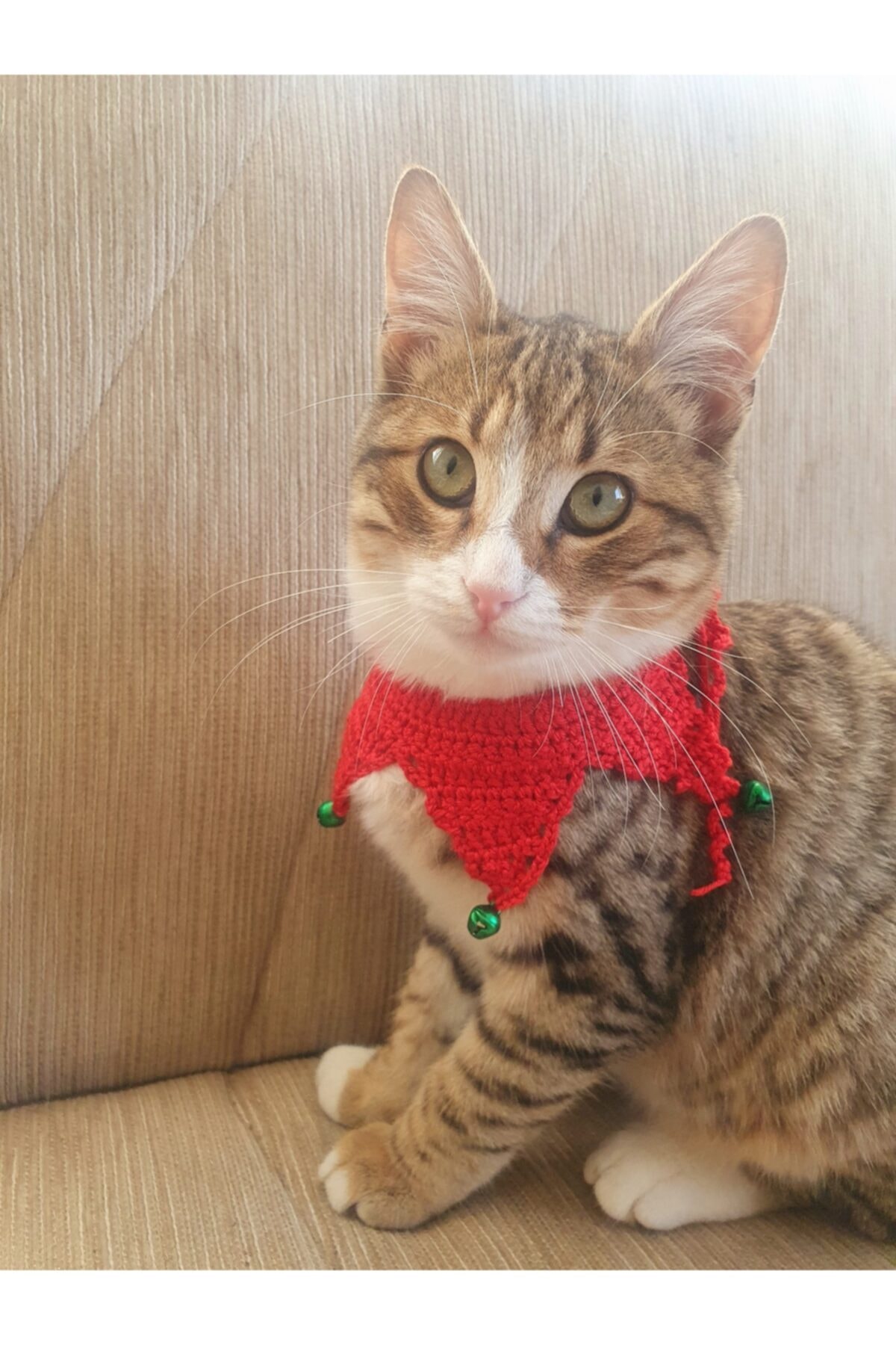 Loyal Friend Store Zilli El Örgüsü Yılbaşı Kedi Kolyesi