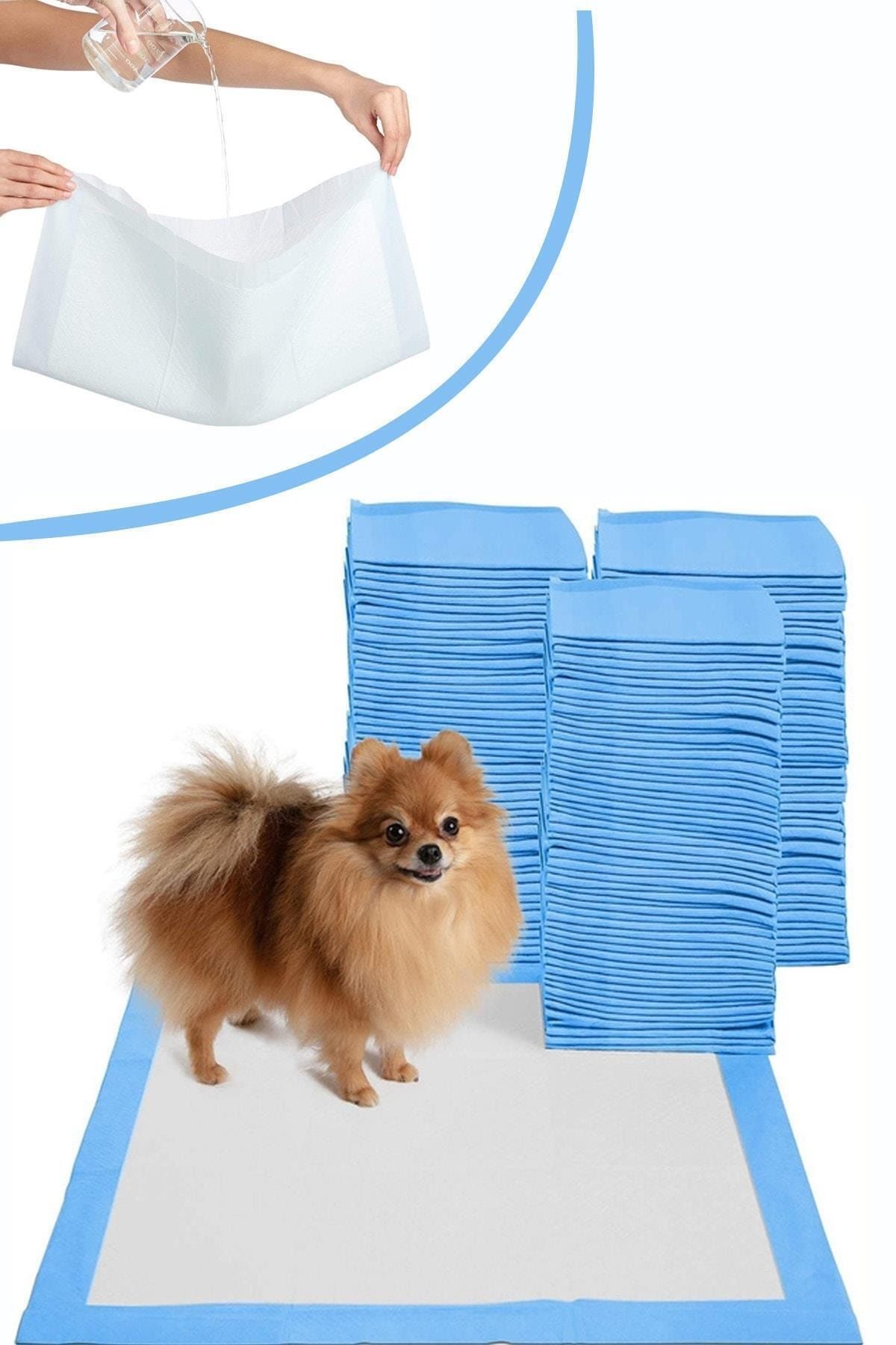 ASMEYAL Köpek Çiş Pedi 5li Paket 60x90
