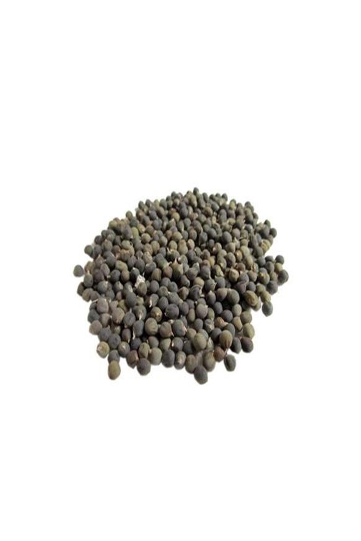 Mecitefendi Bamya Tohumu 100 Gr