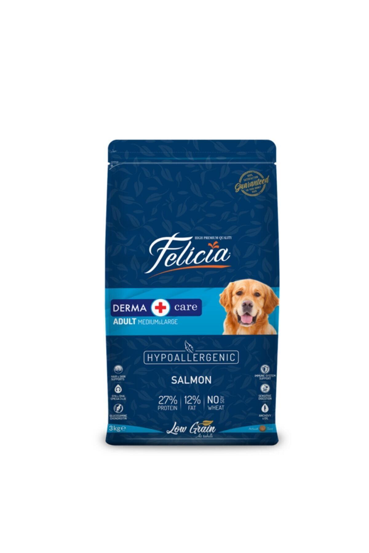 Felicia Az Tahıllı 3 Kg Yetişkin Somonlu M/large Breed Hypoallergenic Köpek Maması