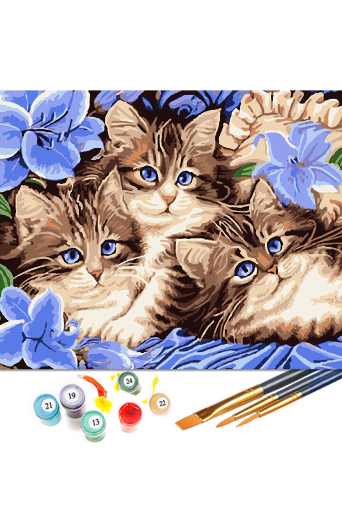 Tabdiko Sayılarla Boyama Seti 40 X 50 Cm Tuval Şasesine Gerili Boncuk Kediler