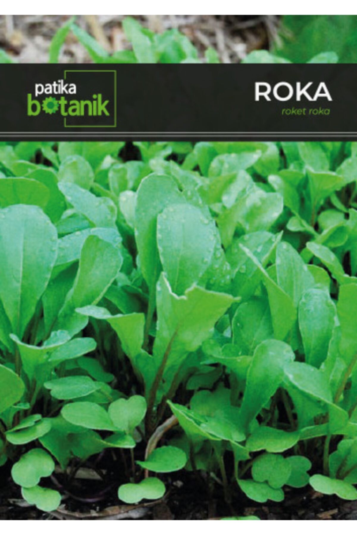GüçlüTedarik Patika Botanik Roka Tohumu 5000 Adet Tohum 10 Gr