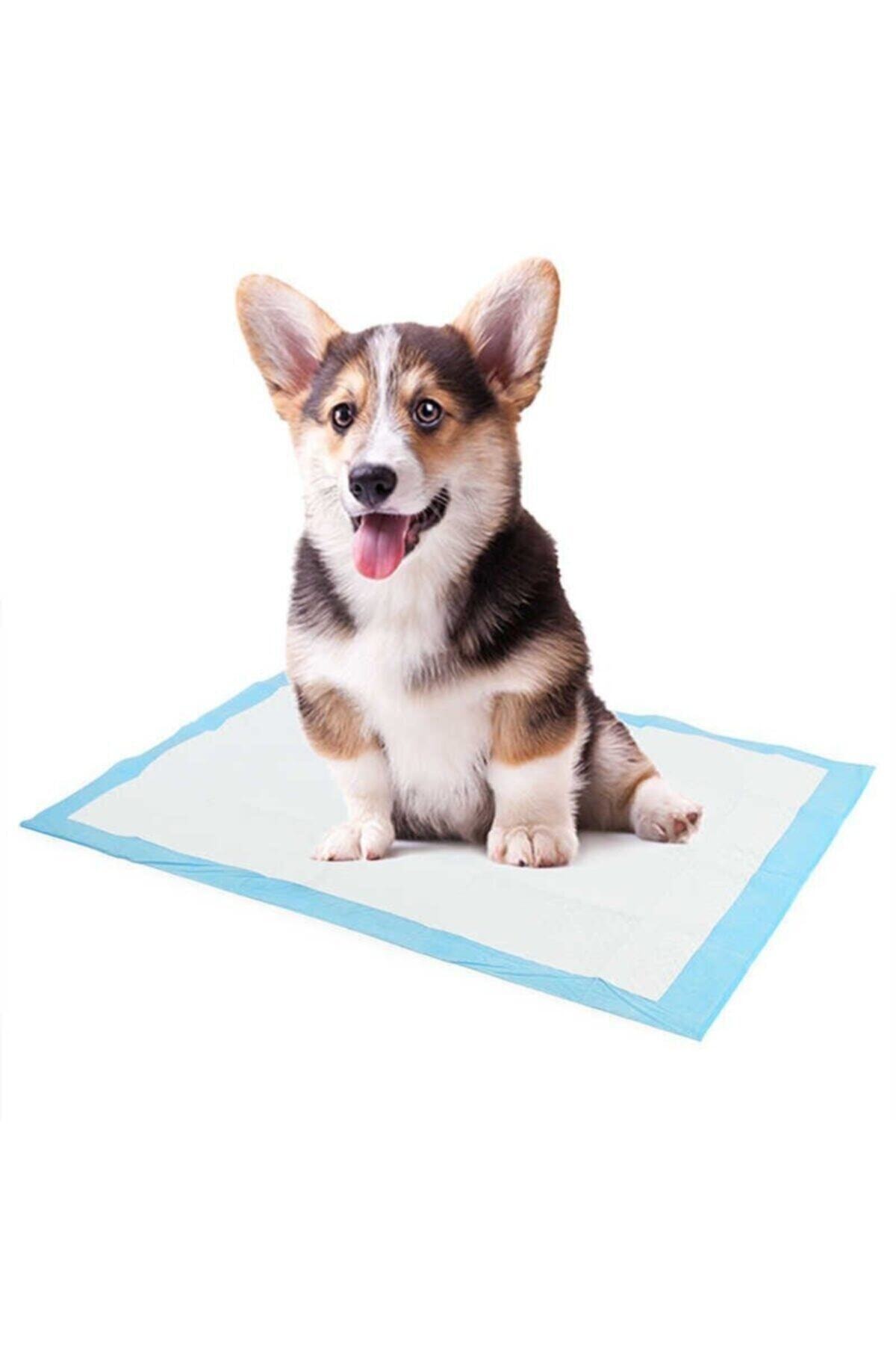 Velina Home Kedi Köpek Serme Çiş Bezi, Yatak Koruyucu Örtü