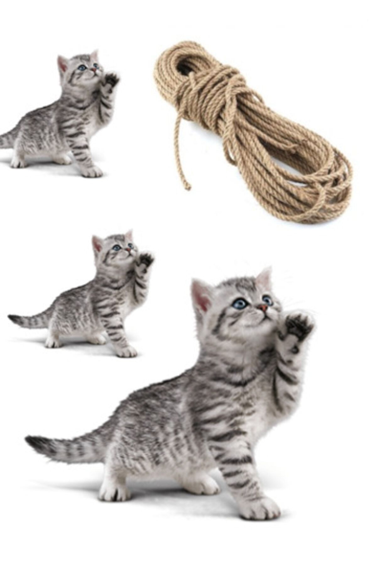 izmir Bitpazarı Kedi Tırmalama İpi Cat Scratching Line