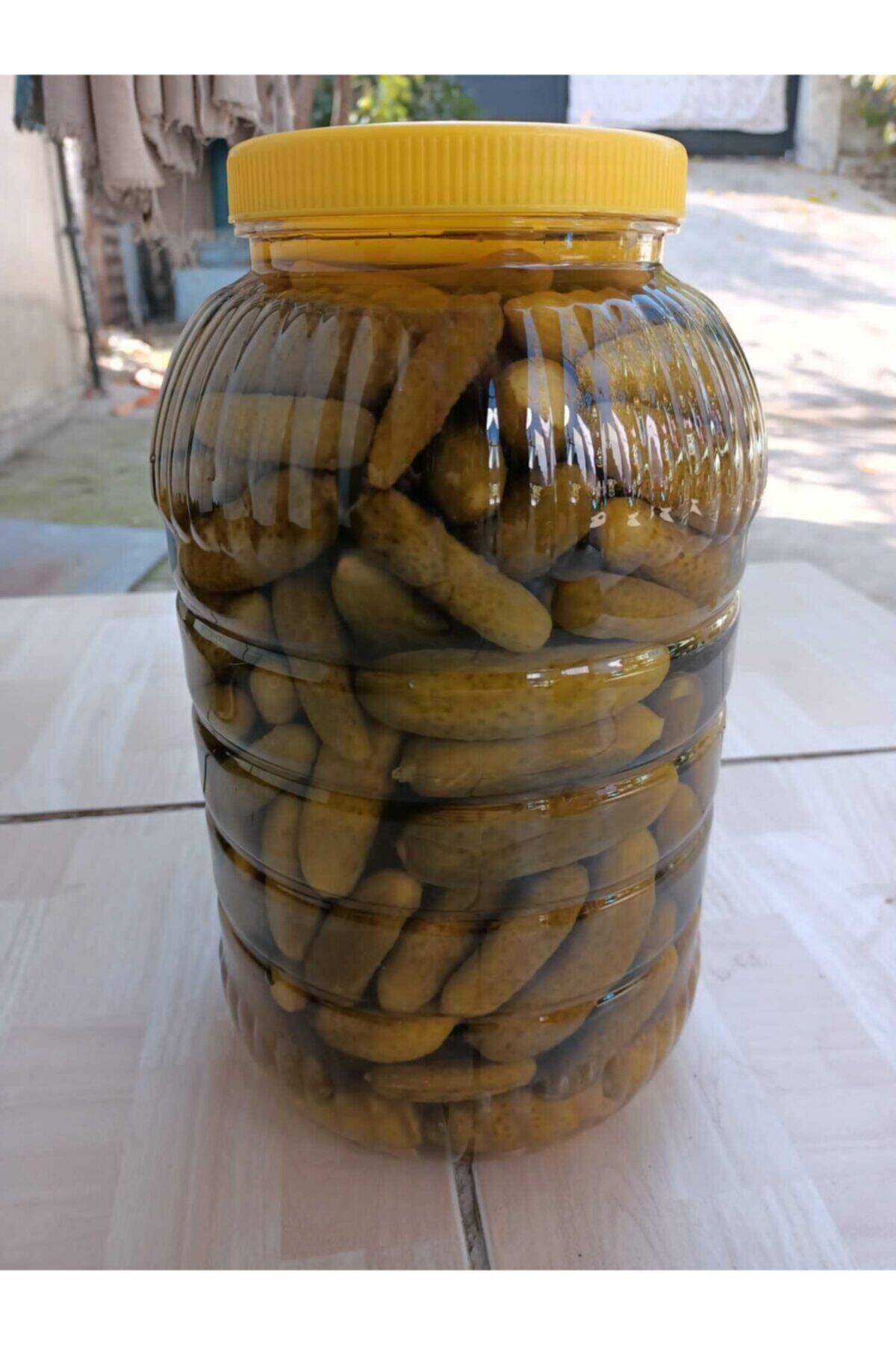 preess Ev Yapımı Salatalık Turşusu 5 Kg