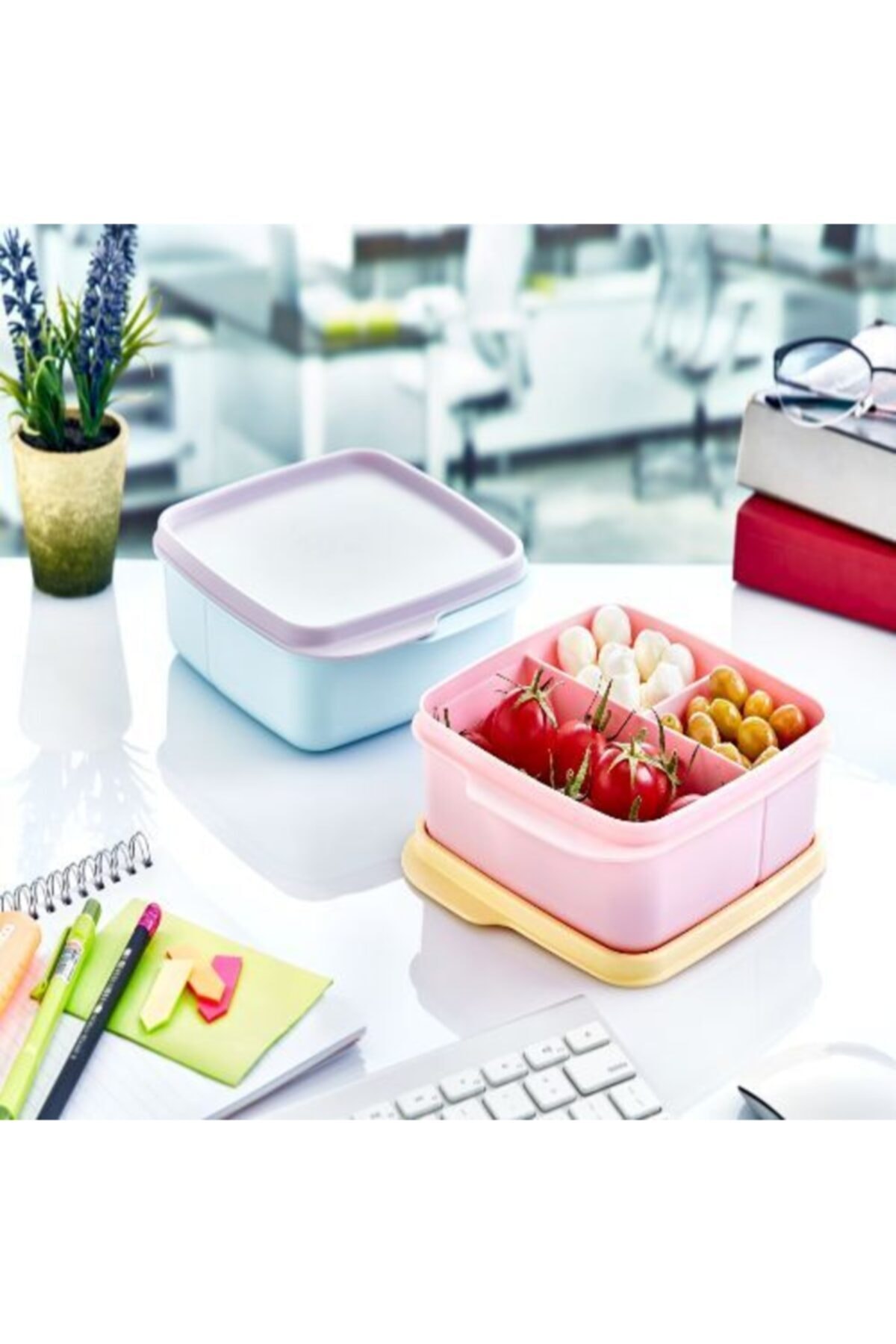 Go İthalat Kare Bölmeli Beslenme Kabı