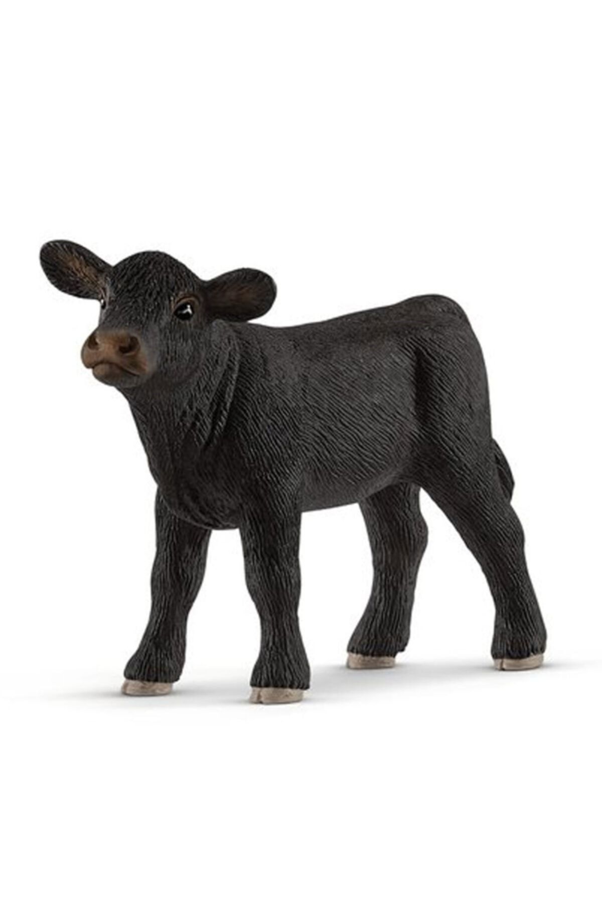SCHLEICH Siyah Angus Buzağı 13880