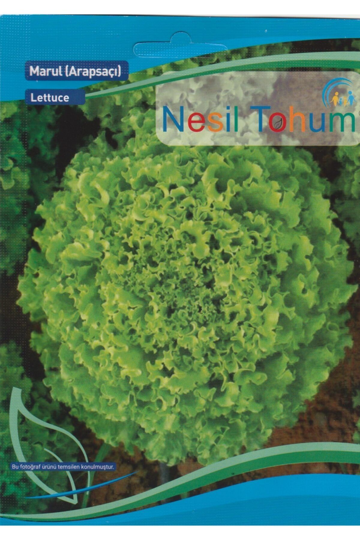 Nesil Tohum Arapsaçı Kıvırcık Marul Tohumu 5 Gram
