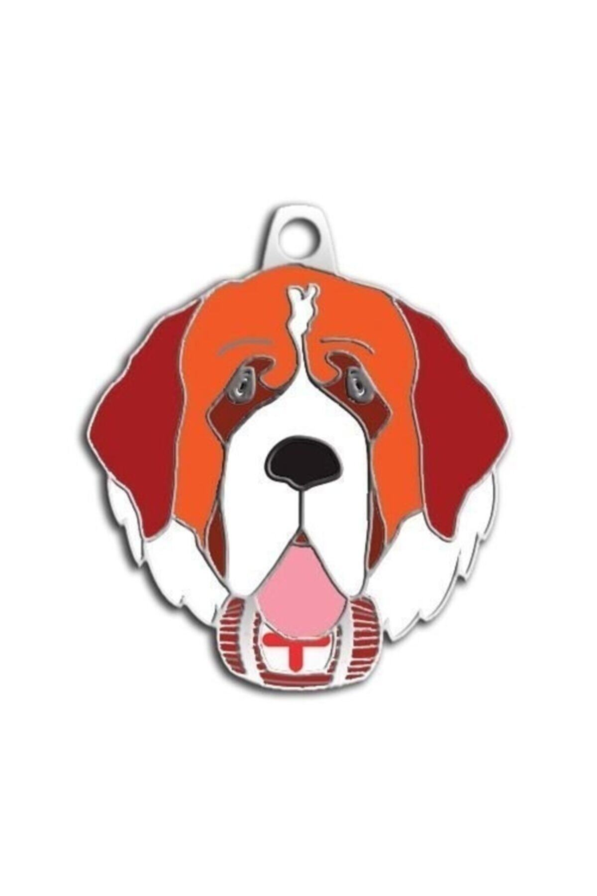 altın pati St. Bernard Köpek Künyesi