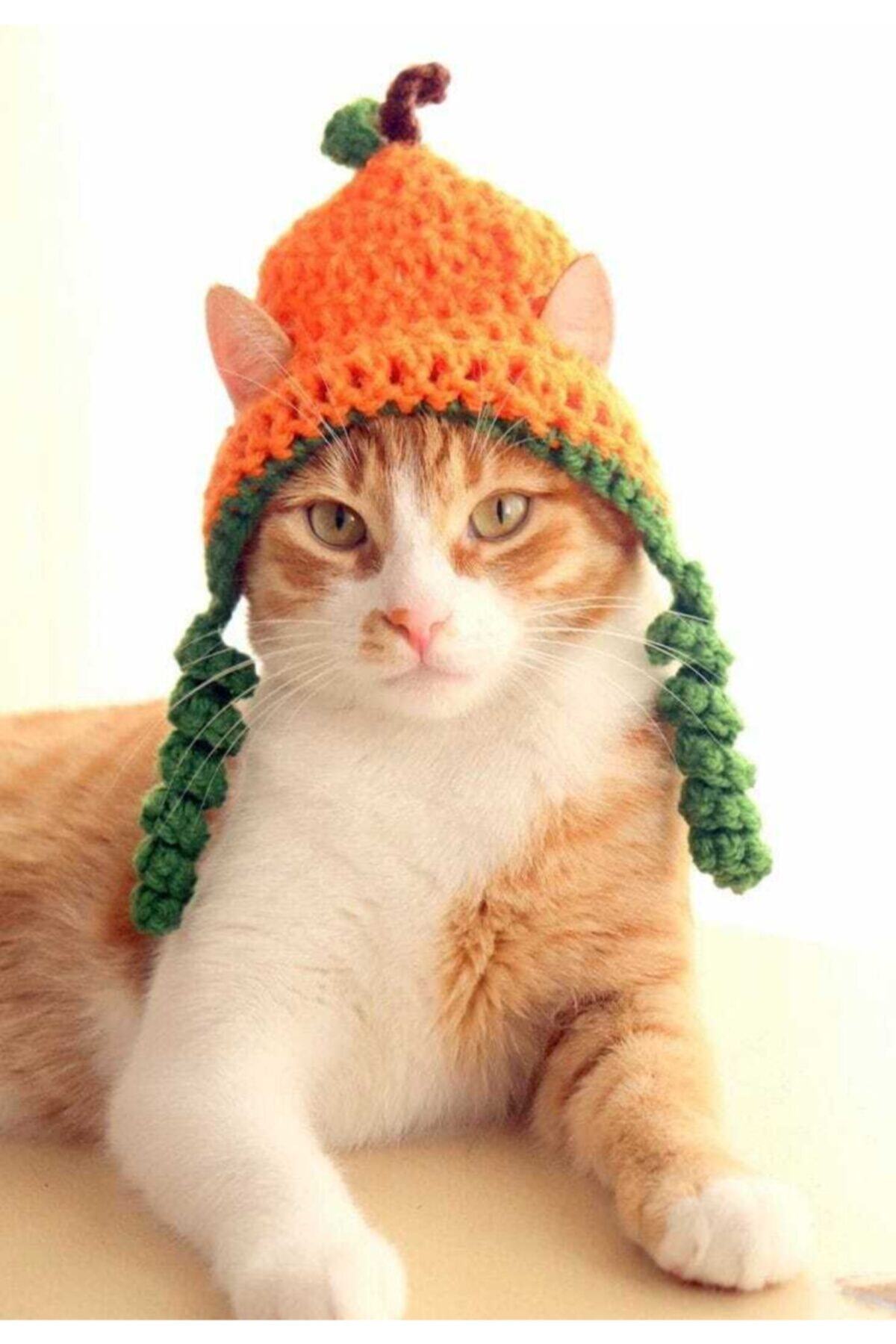 BurDen Dekoratif Ürünler & Tasarım Bal Kabağı Kedi Şapkası