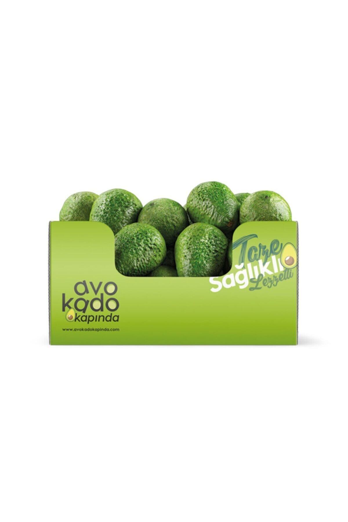AVOKADO KAPINDA Avokado 10'lu (220-250gr)