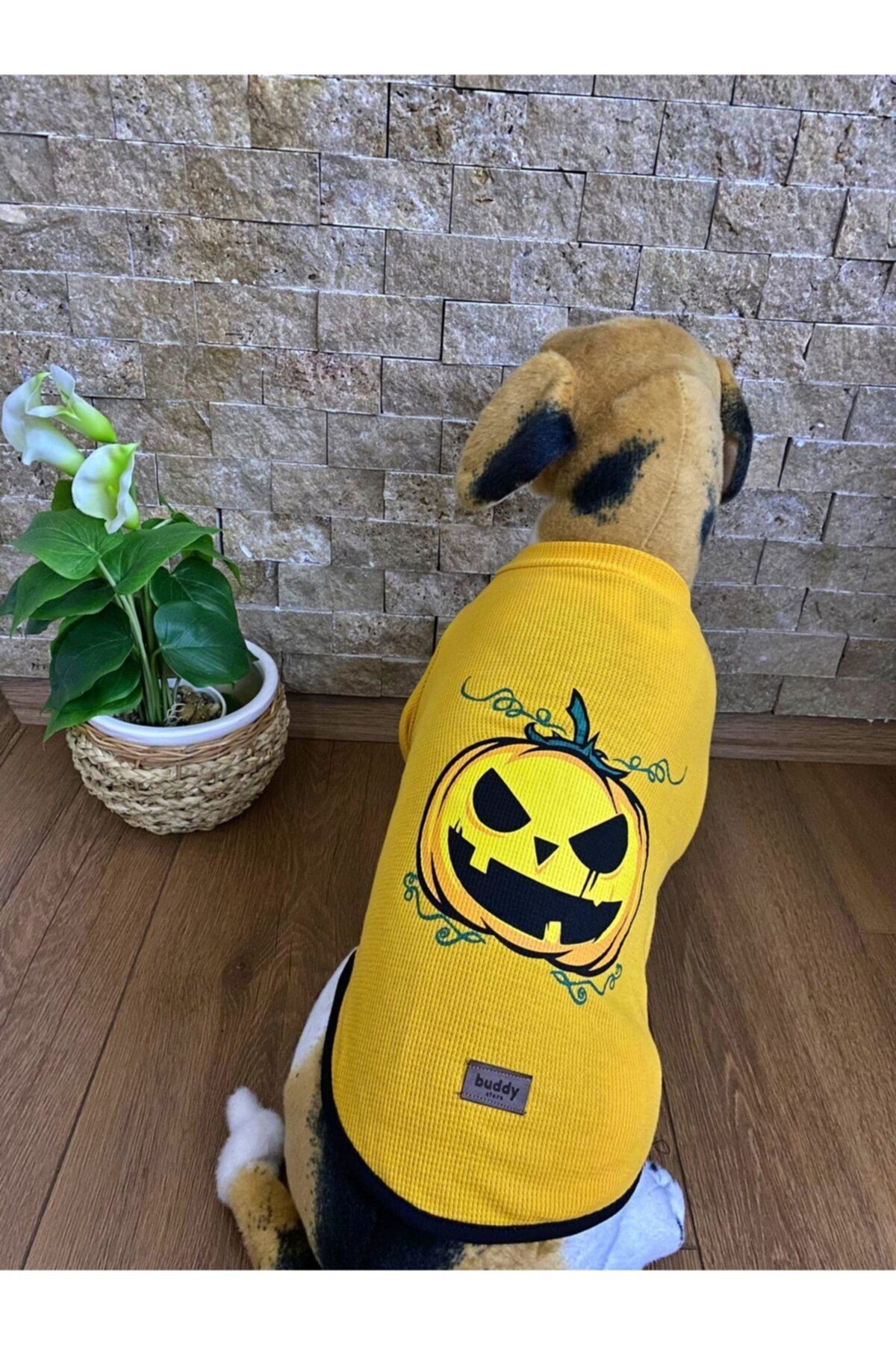 Buddy Store Kedi Köpek Kıyafeti & Elbisesi Uzun Kollu Model Açık Sarı Bal Kabağı (kaşkorse)