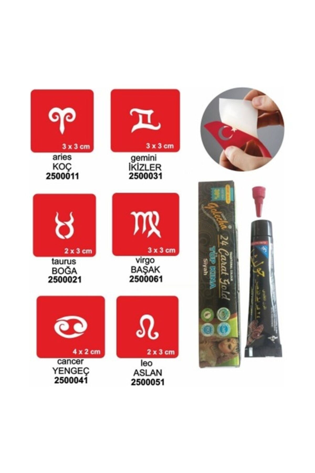 alsepeteavm Doğal Burç Desenleri Hint Kınası ile Geçici Dövme