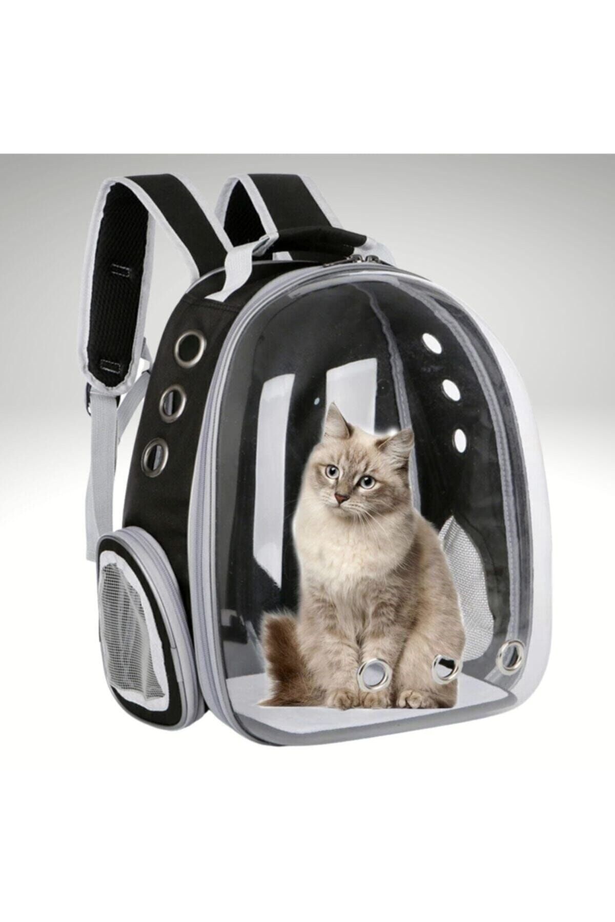 HEPBİMODA Şeffaf Astronot Kapsül Kedi Köpek Seyahat Yolculuk Fermuarlı Hava Alan Taşınabilir Sırt Çantası